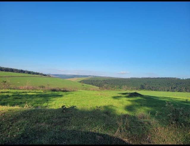 FARM FOR SALE IN HARDING